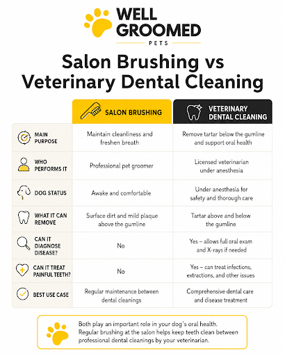 Salon brushing vs veterinary dental cleaning comparison showing maintenance brushing, diagnosis, gumline care, and veterinary treatment.