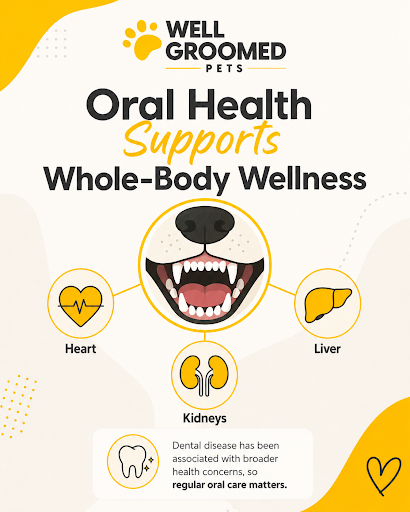 Educational dog oral health graphic showing the association between dental disease and whole-body wellness, including heart health.