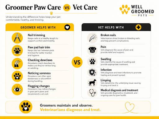 Groomer paw care and veterinarian treatment comparison showing nail trimming, paw pad care, pain, broken nails, and medical diagnosis.